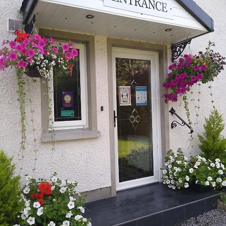 The Laurels Bed & Breakfast Lodge Omagh Extérieur photo
